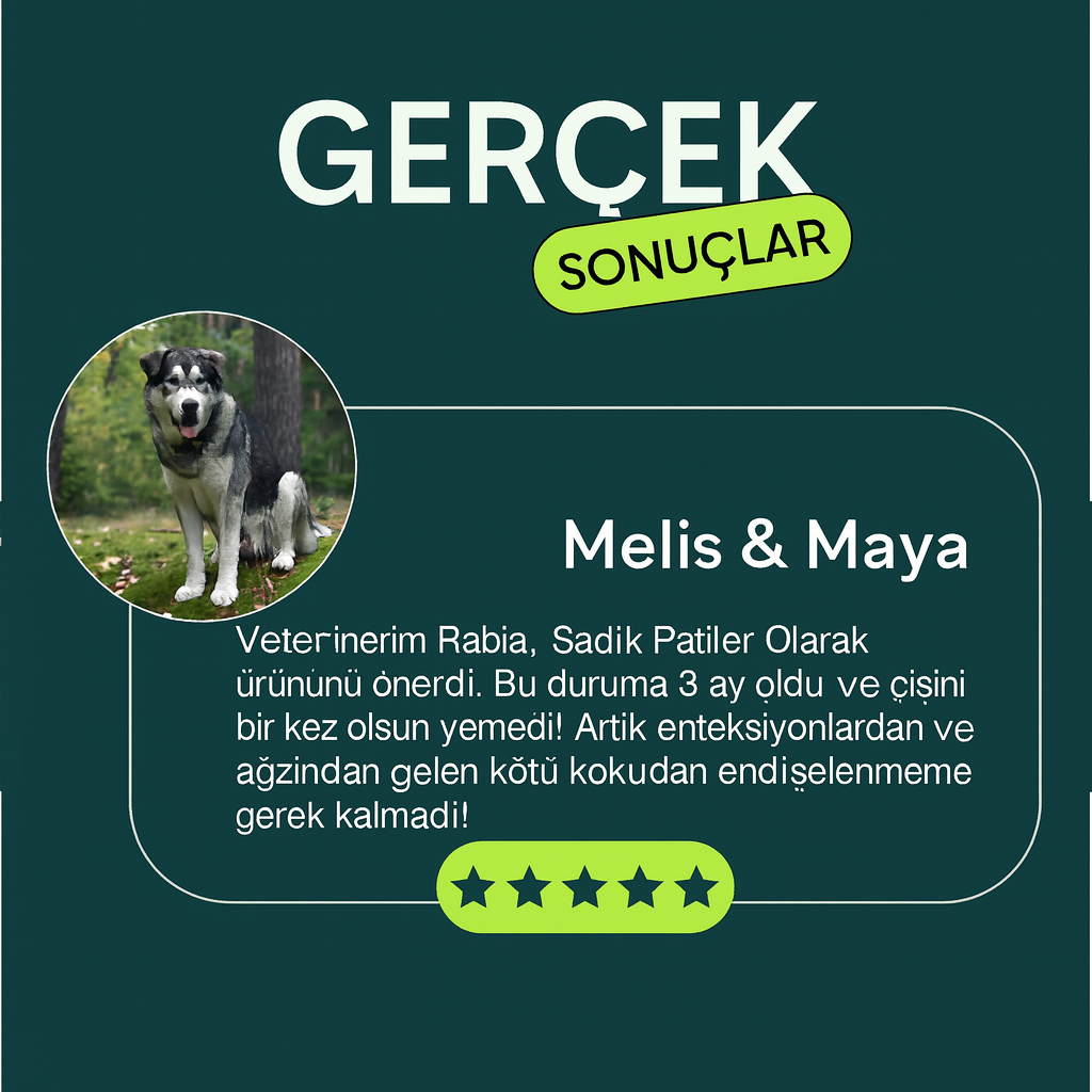 Sadık-Patiler+ Dışkı Yemeye Son Damlaları